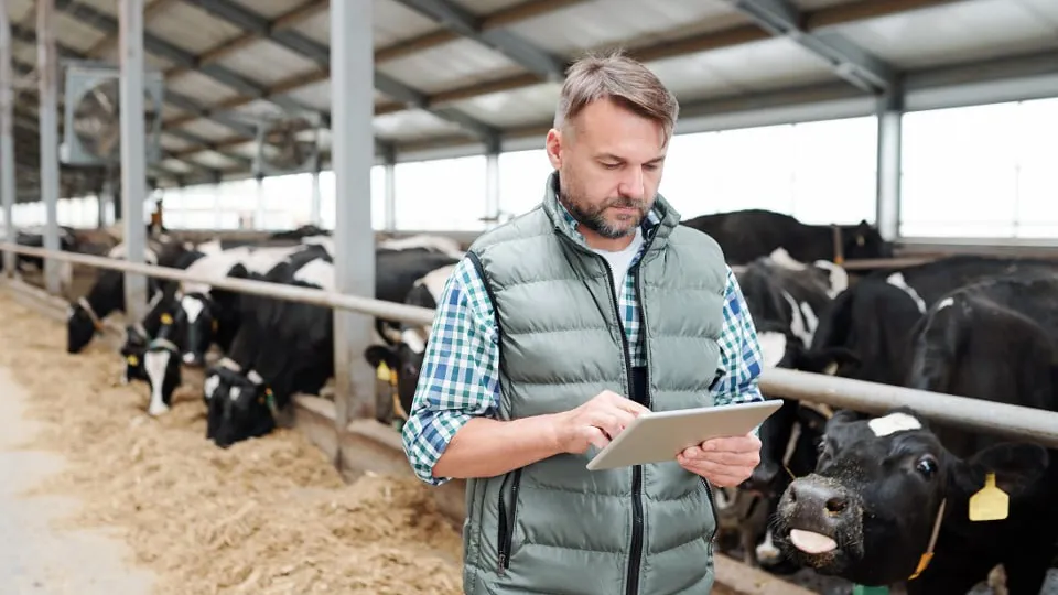 Фото: istockphoto.com