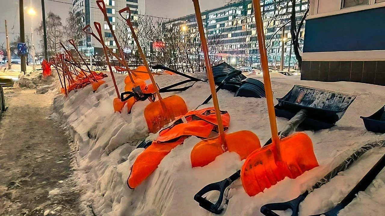 Подыграли ребенку: дворники в Балашихе пообещали выполнить любой приказ четырехлетнего начальника