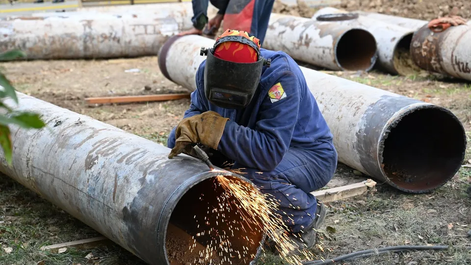 Фото: пресс-служба администрации г.о. Ленинский