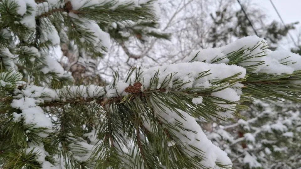 Фото: REGIONS/ Юлия Габбасова