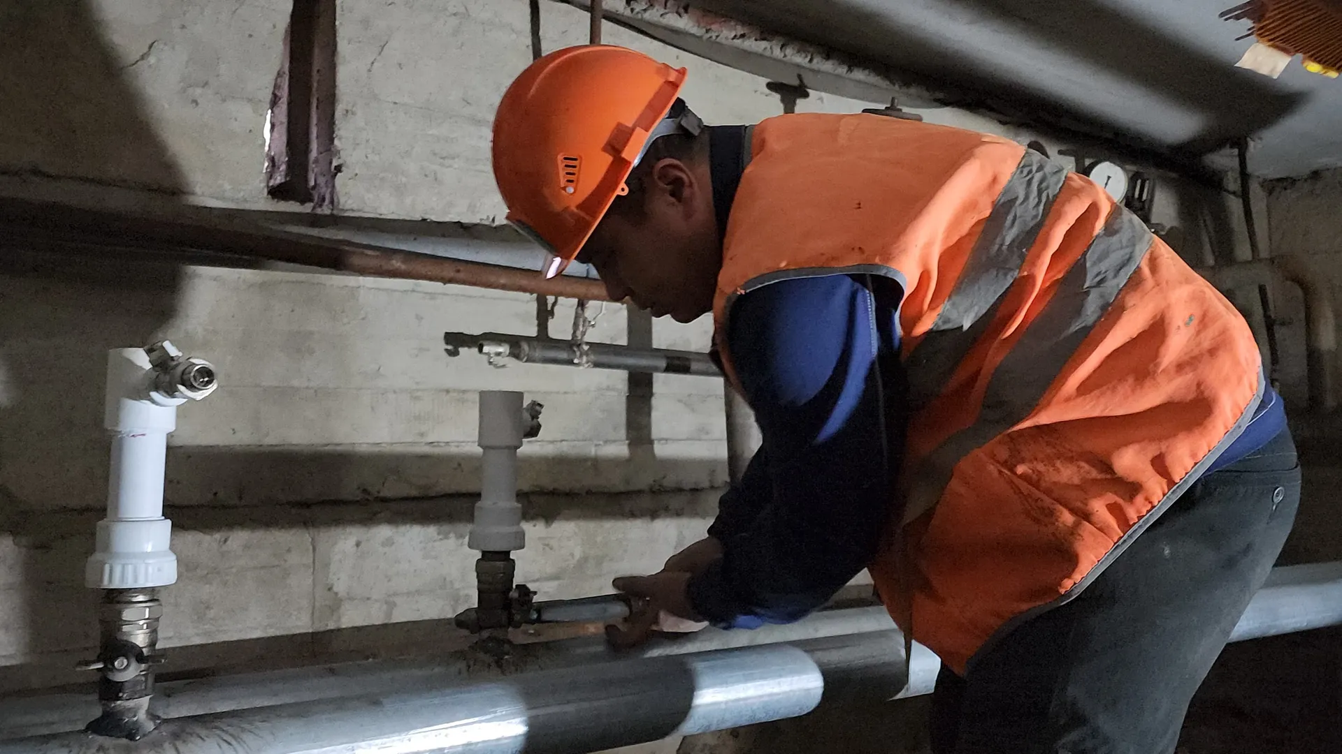 Фото: МедиаБанк Подмосковья/Иван Дубров