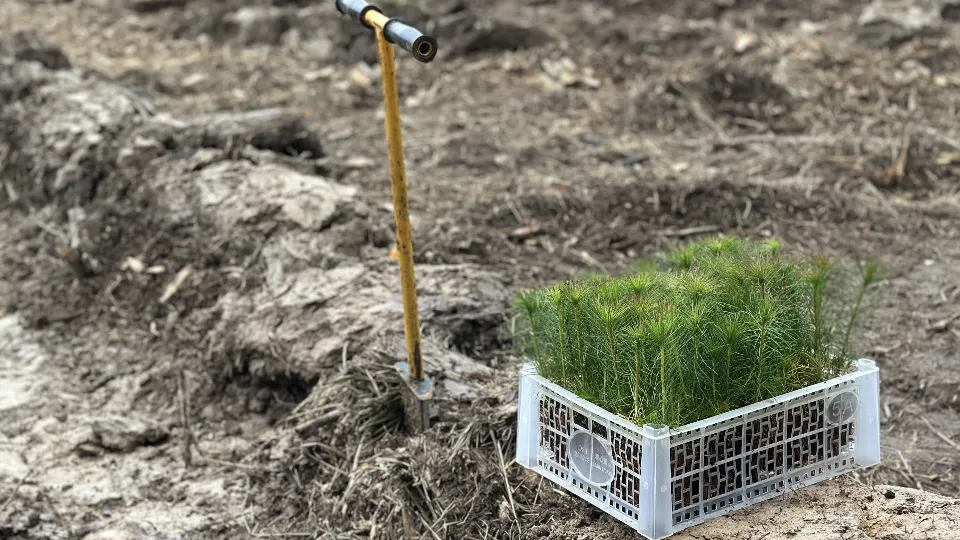 Фото: МедиаБанк Подмосковья/Кристина Тришина