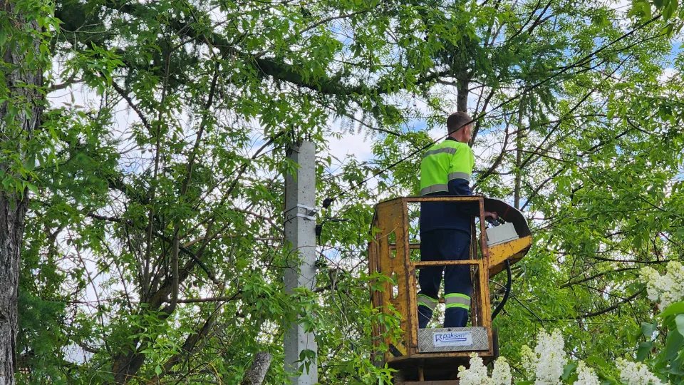 Фото: МедиаБанк Подмосковья/Валентина Максимова