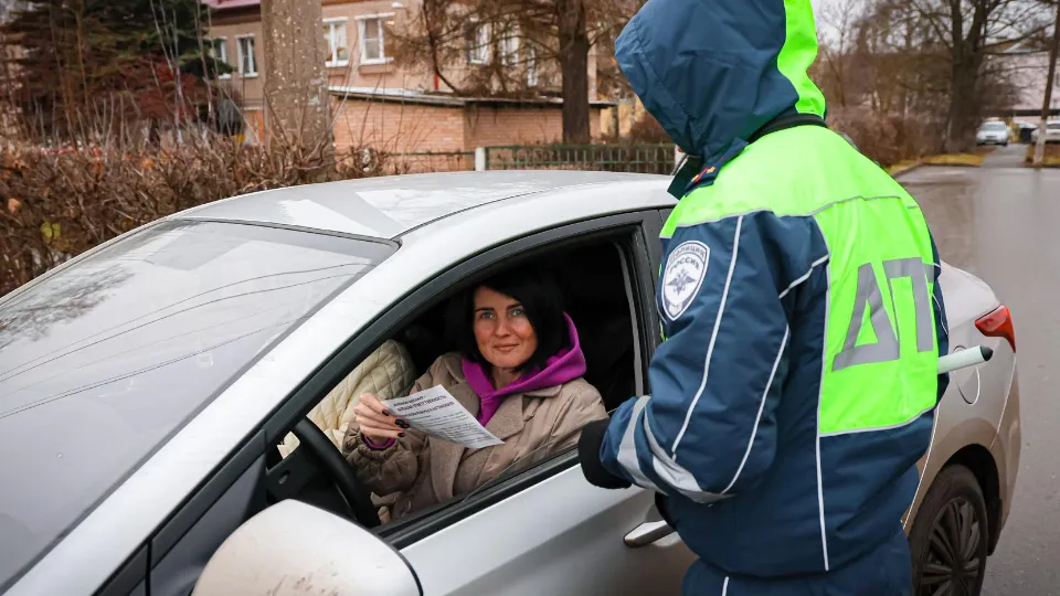 Фото: МедиаБанк Подмосковья/Данила Кирьянов