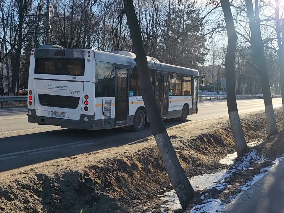 Фото: Ольга Антонова