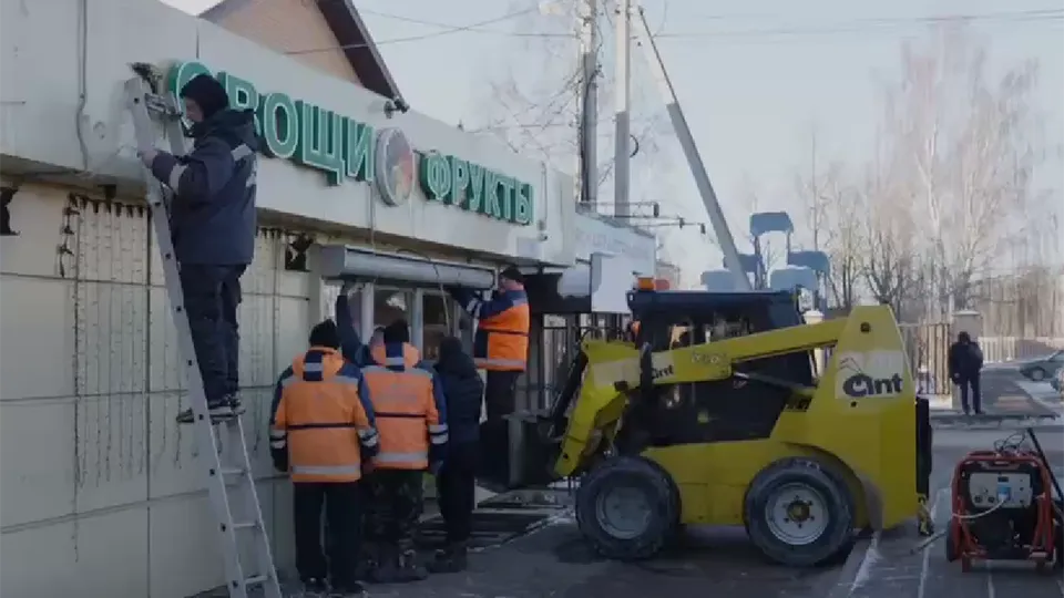 Фото: администрация м.о. Истра