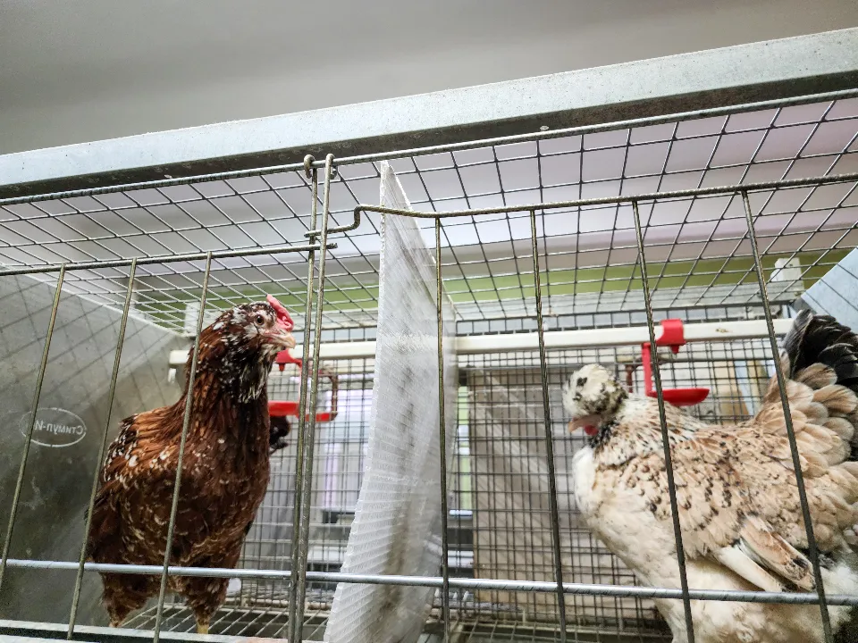 Фото: МедиаБанк Подмосковья/Мария Андрюхина