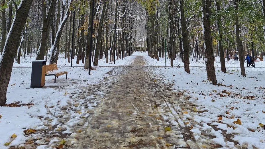 Фото: Валерия Тингаева