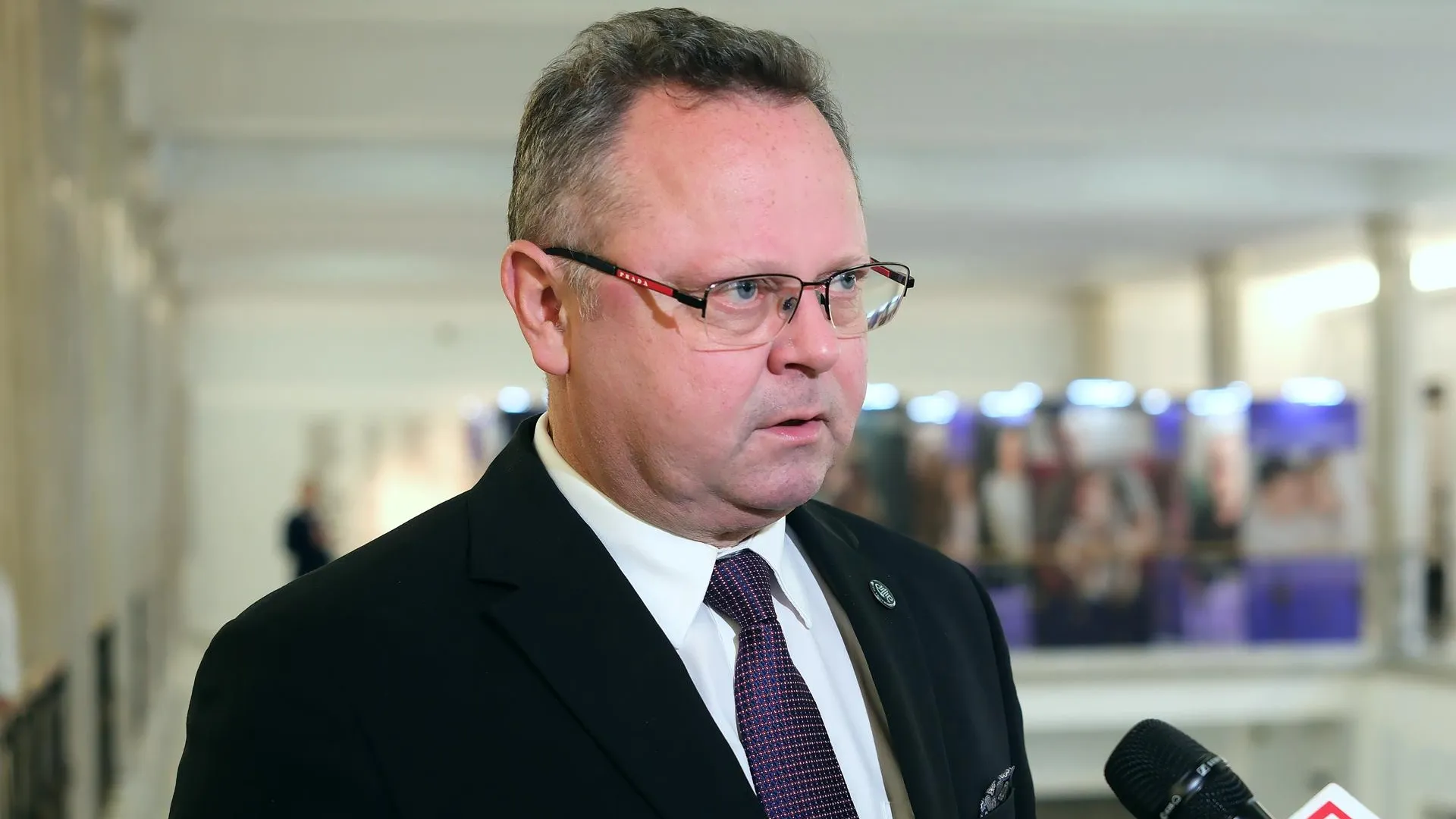 Fot. Tedi/Newspix.Pl
