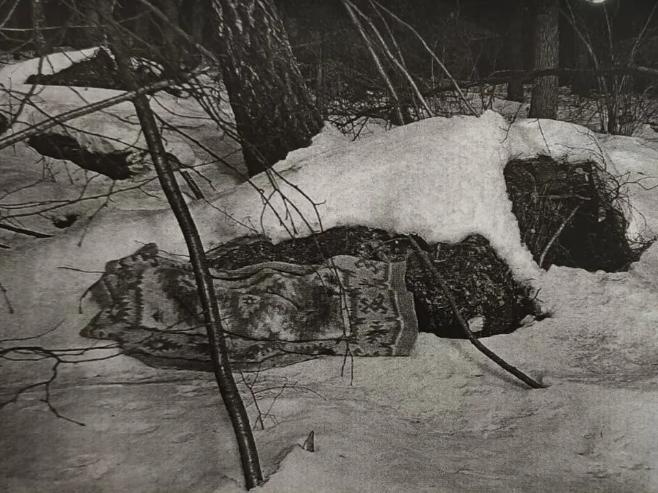 Фото: t.me/mosoblproc