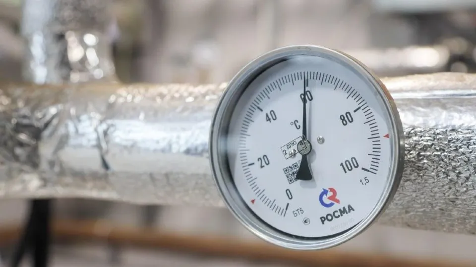 Фото: пресс-служба администрации Сергиево-Посадского г.о.