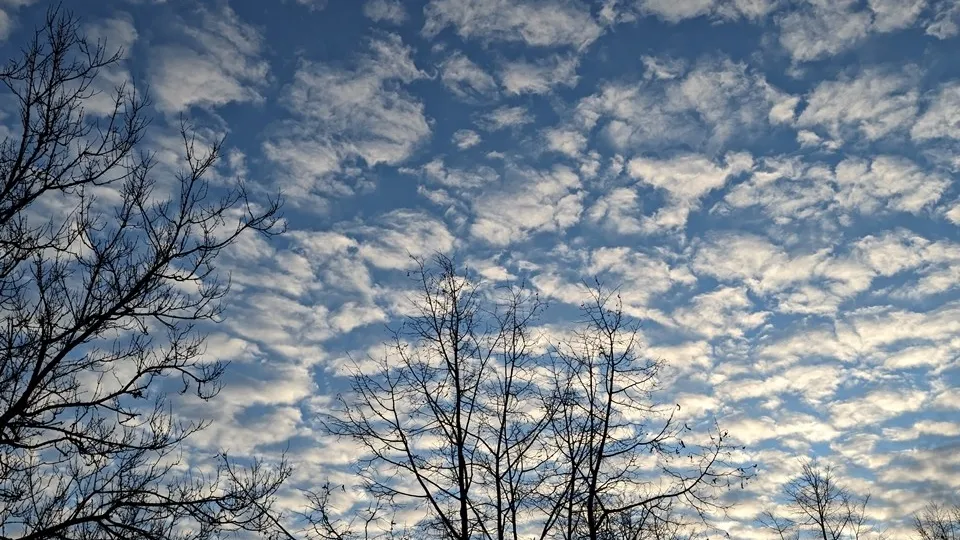 Фото: REGIONS/Алексей Селиверстов