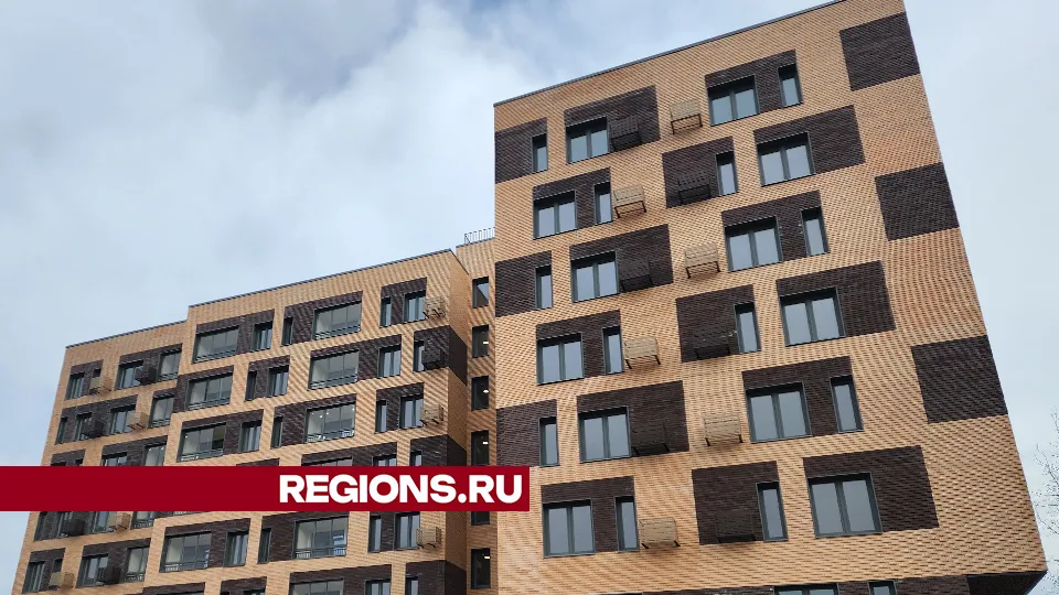 Фото: REGIONS/Ольга Шеметова
