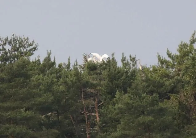 Фото: Семенова К.П.