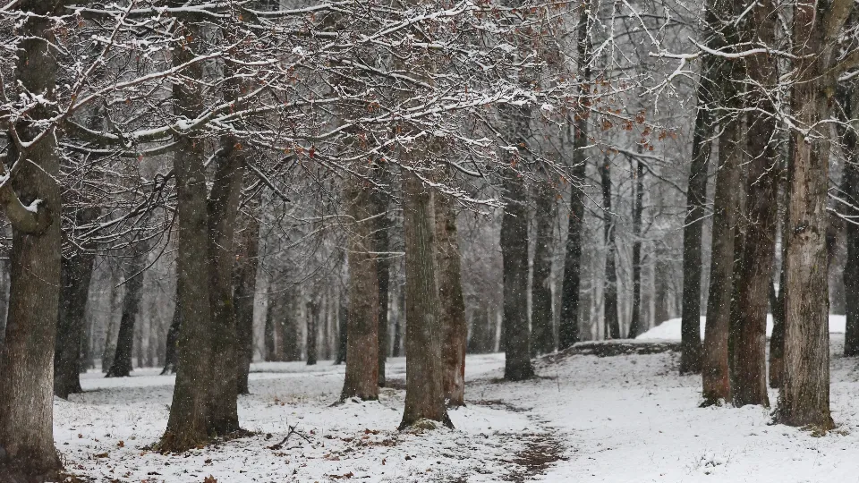 Фото: REGIONS/Ольга Пятикрестовская