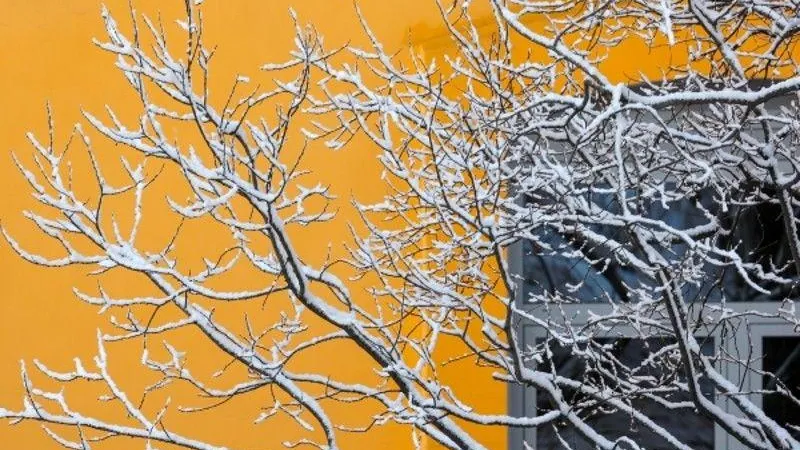 Жителей Подмосковья предупредили о снегопадах и ледяных дождях