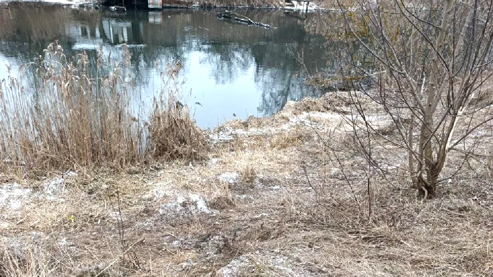 Фото: пресс-служба администрации г. о. Лосино-Петровский