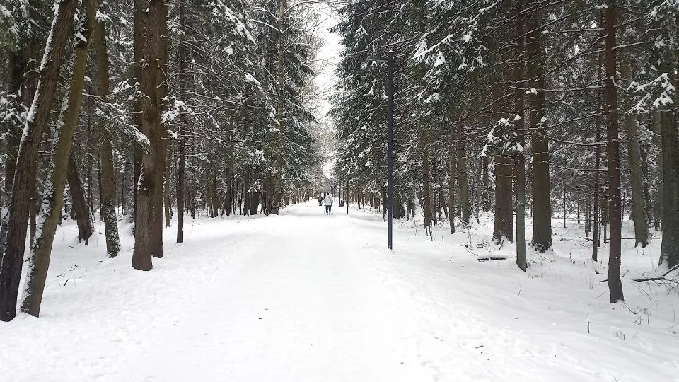 Фото: REGIONS/Олег Книжник