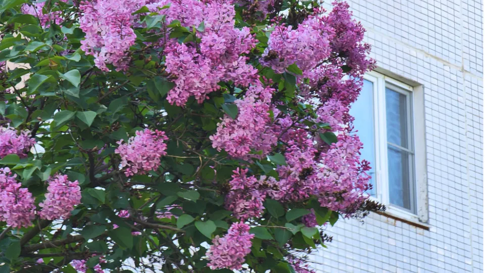 Фото: МедиаБанк Подмосковья/Мария Панина