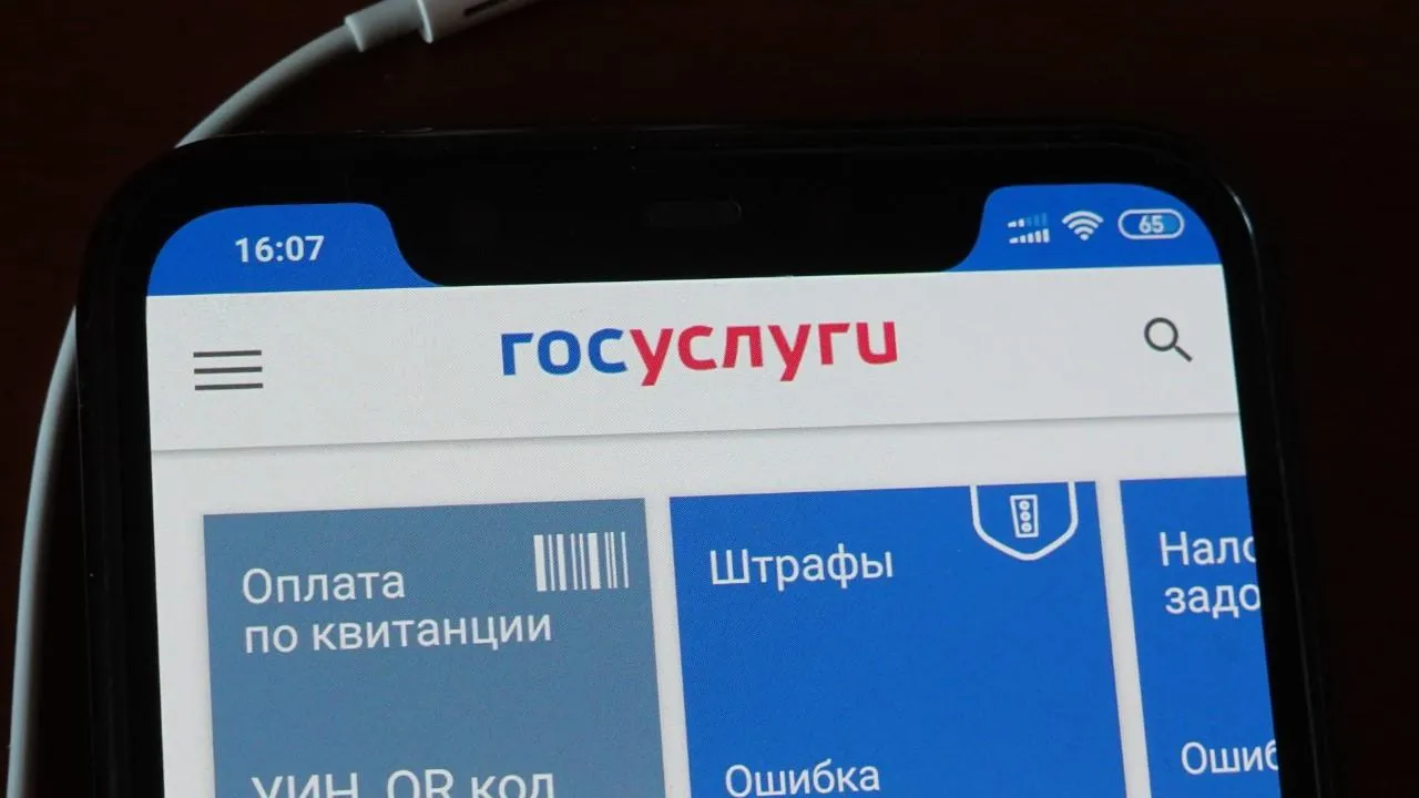 Путин подписал закон об использовании «Госуслуг» для обращения граждан в органы власти