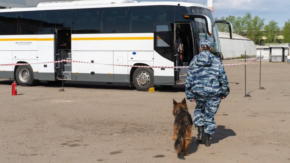 Фото: пресс-служба администрации г.о. Жуковский
