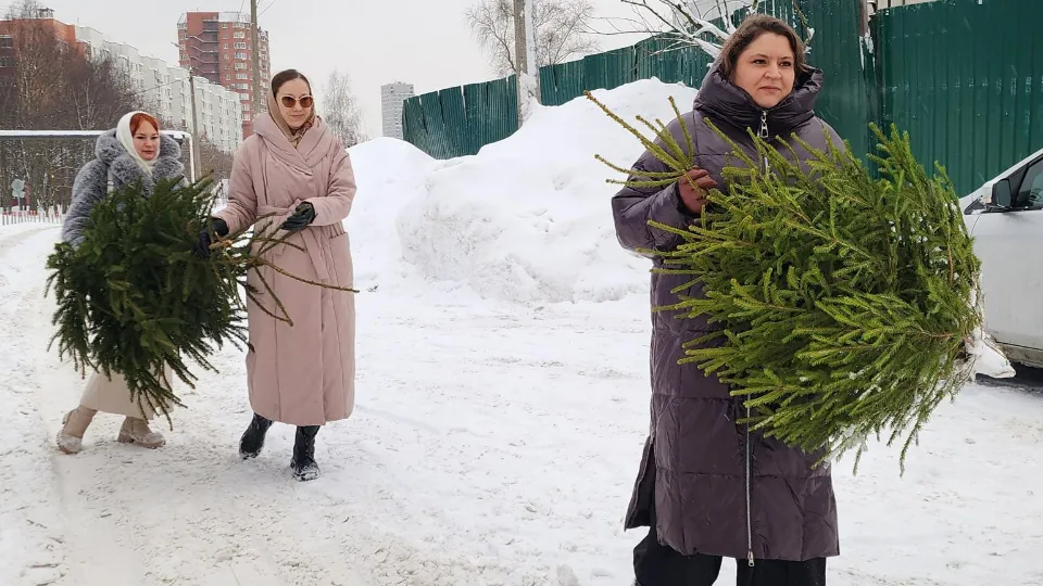 Фото: МедиаБанк Подмосковья/Максим Сафронов