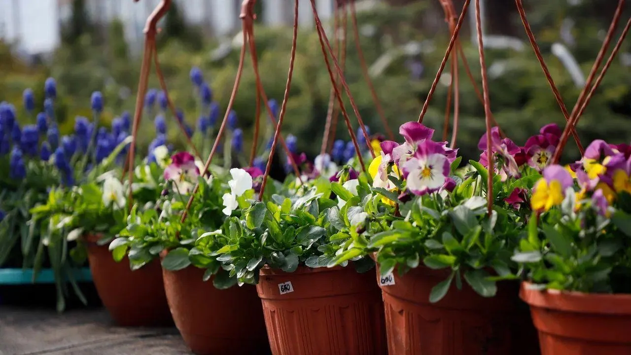 REGIONS/Наталья Надточая