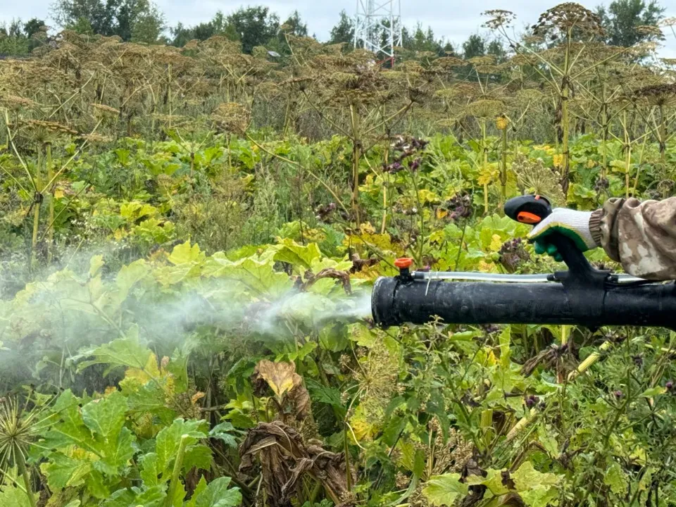 Фото: МедиаБанк Подмосковья/Яна Шаливская