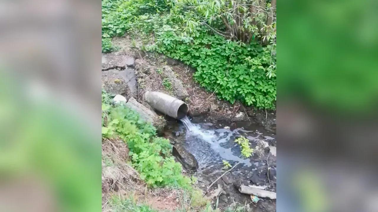 Фото: t.me/ru_balashiha