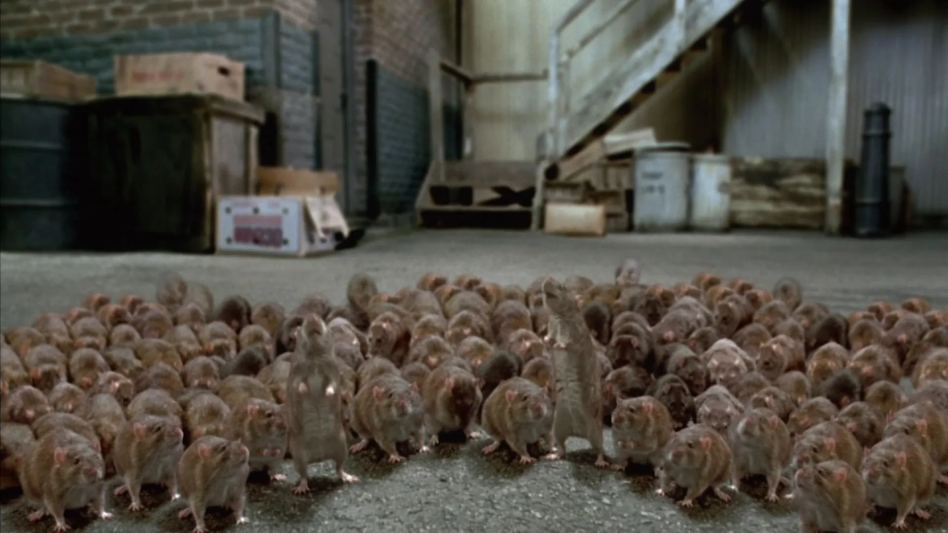 Фото: Freepik&nbsp;&nbsp;