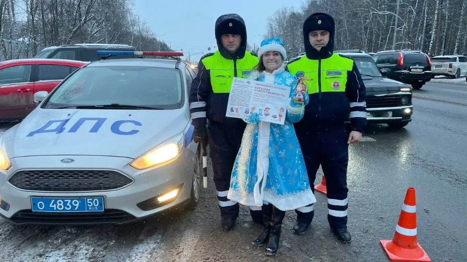 Фото: Госавтоинспекция УМВД России по г.о. Домодедово