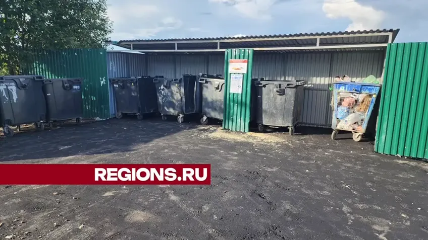 Фото: Светлана Борщева