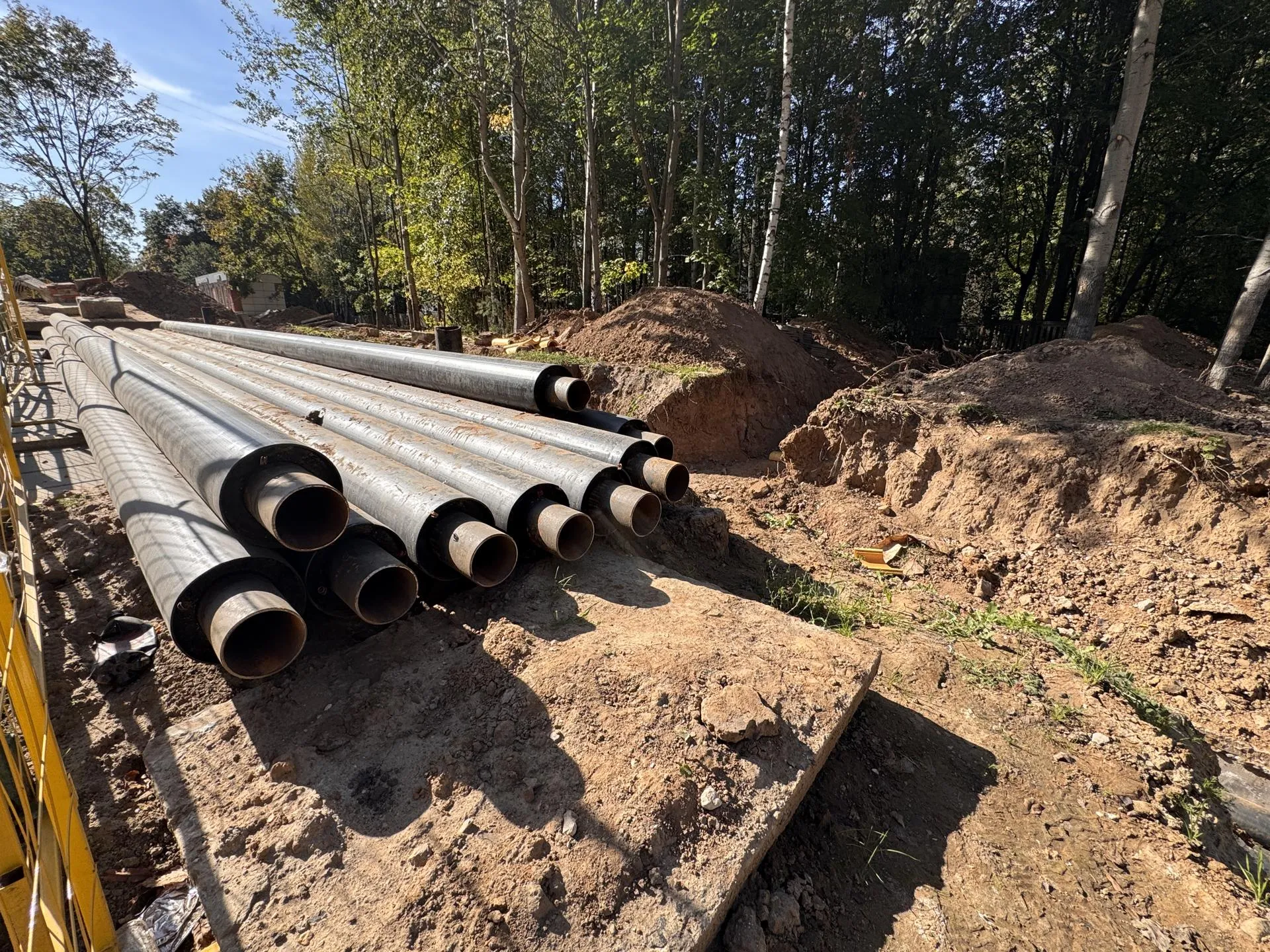 Фото: REGIONS/Мария Шматкова