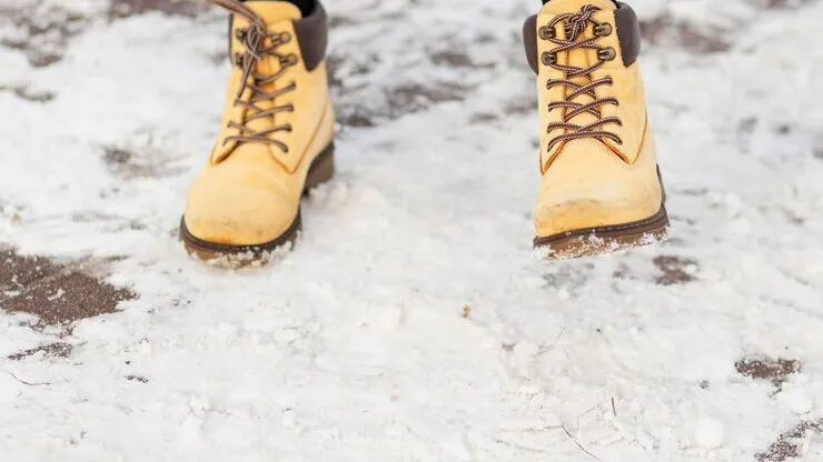 Фото: freepik.com