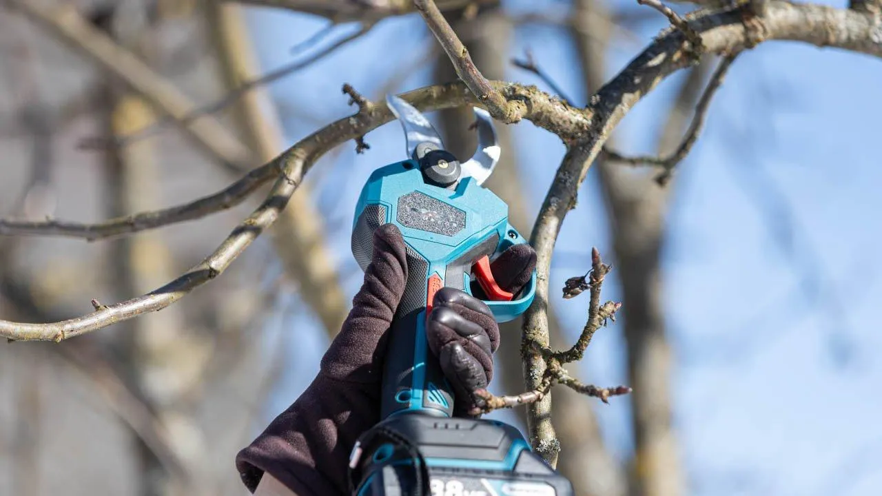 REGIONS/Роман Малышенко