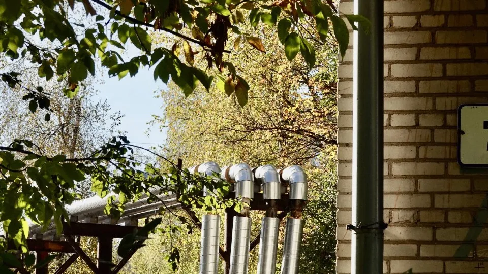 Фото: REGIONS/Дарья Леонова