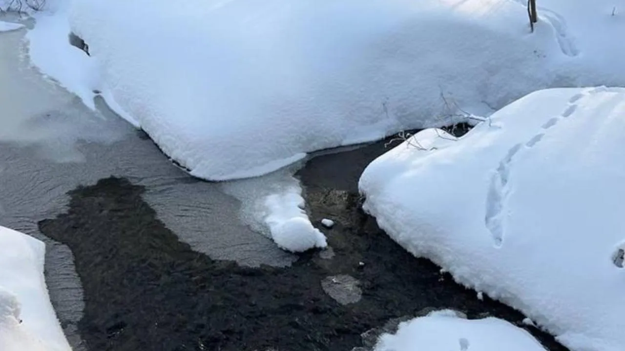 Минэкологии МО