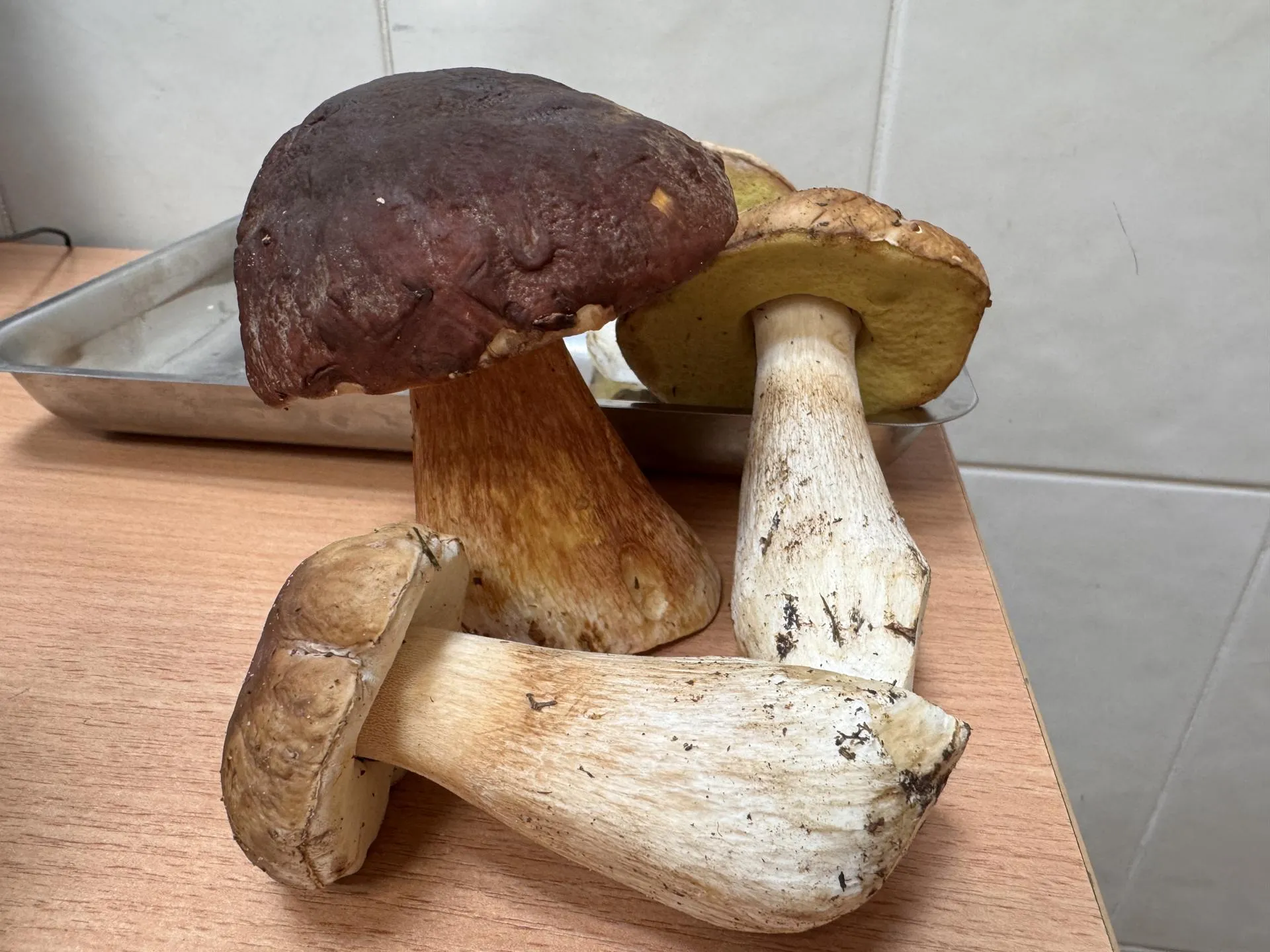 Фото: REGIONS/Мария Шматкова