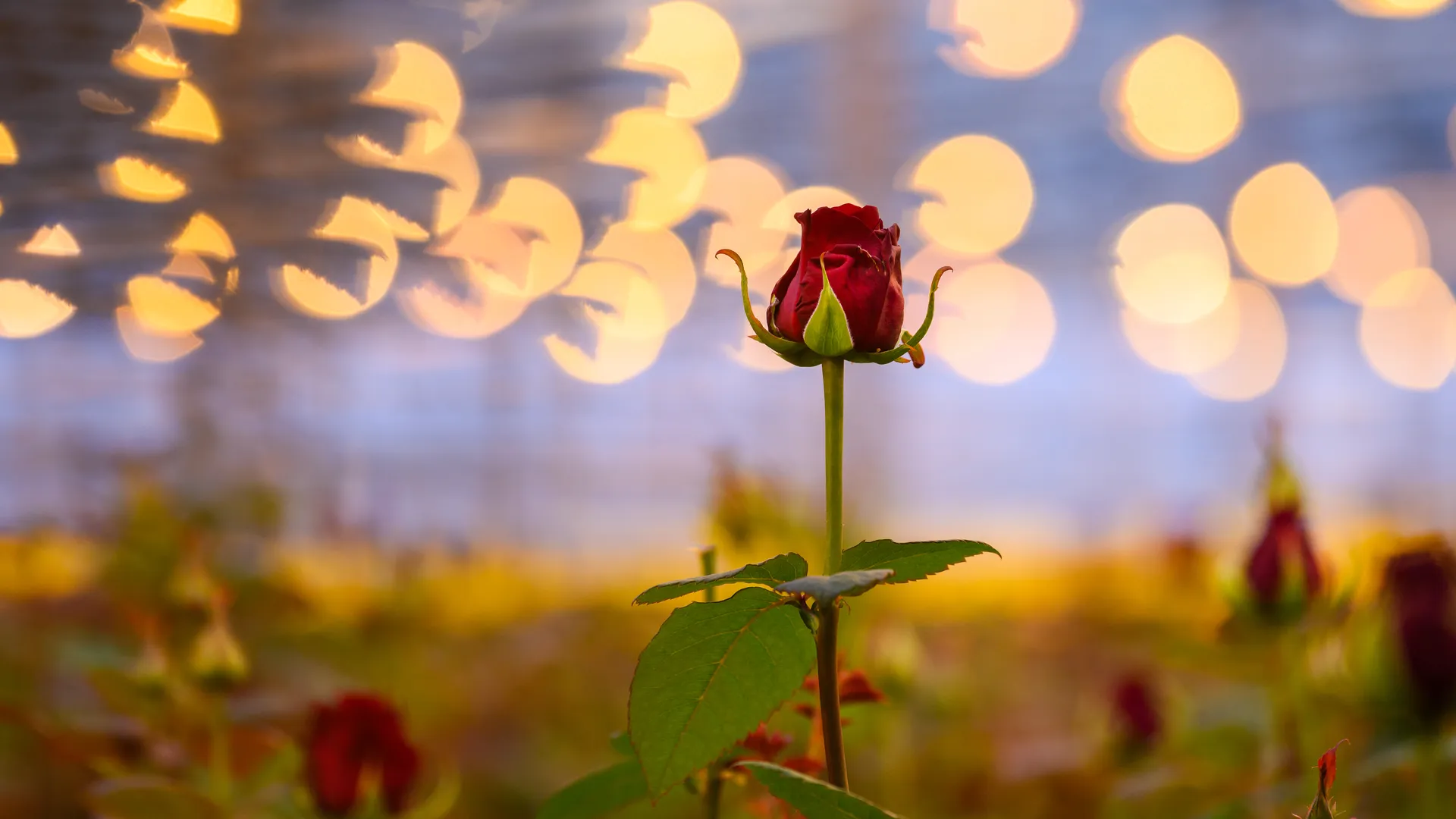 медиасток.рф