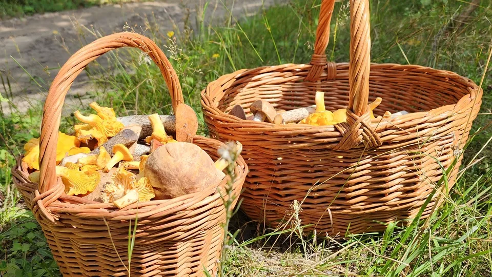 Фото: REGIONS/Анастасия Хренкова