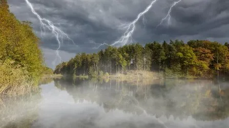 Фото: freepik.com