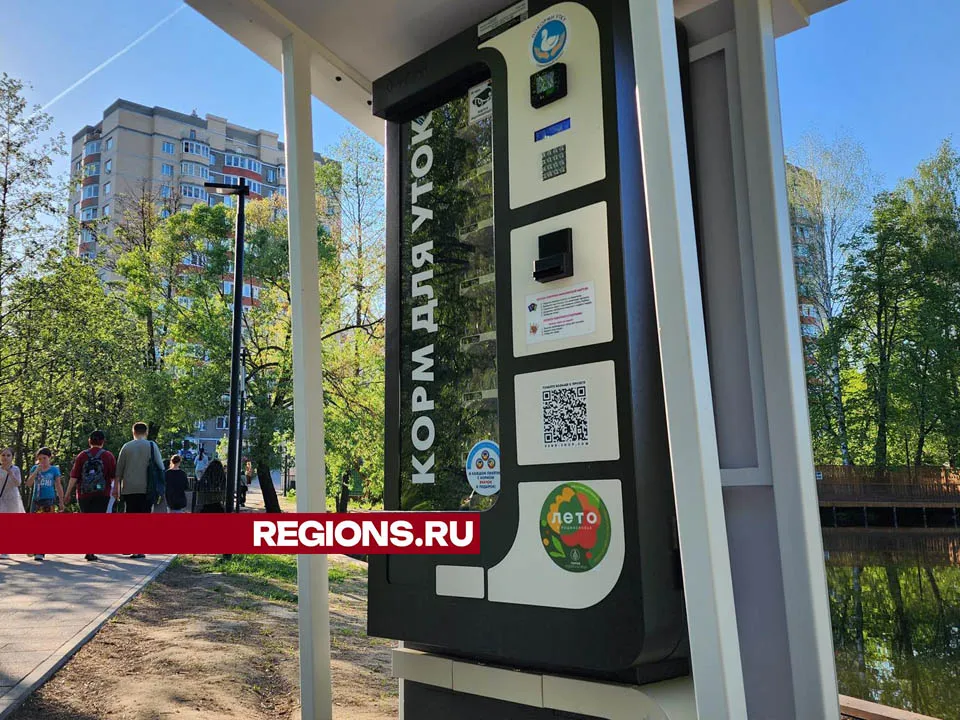 Фото: Валерия Тингаева