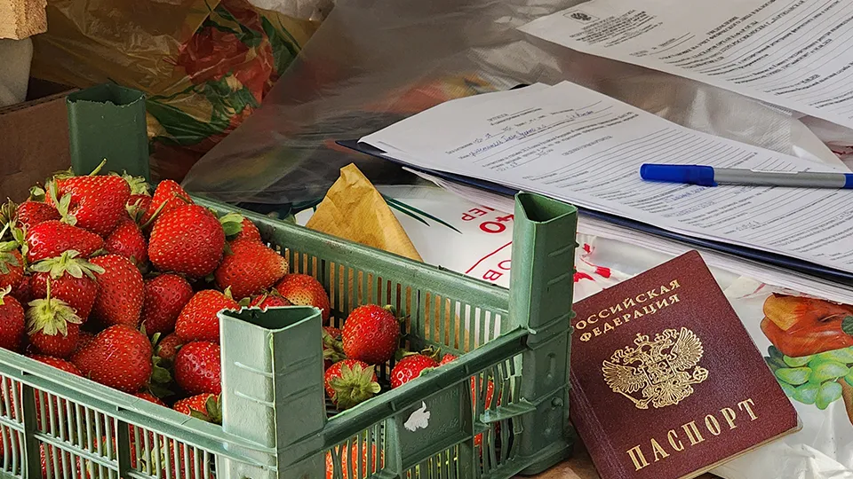 Фото: МедиаБанк Подмосковья/Данилина Екатерина