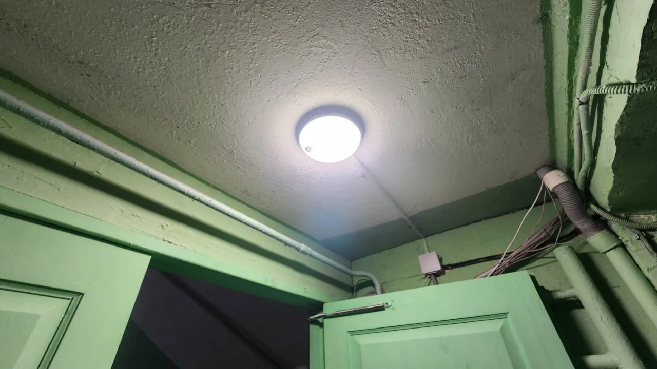 Фото: МедиаБанк Подмосковья\Марина Анисимова