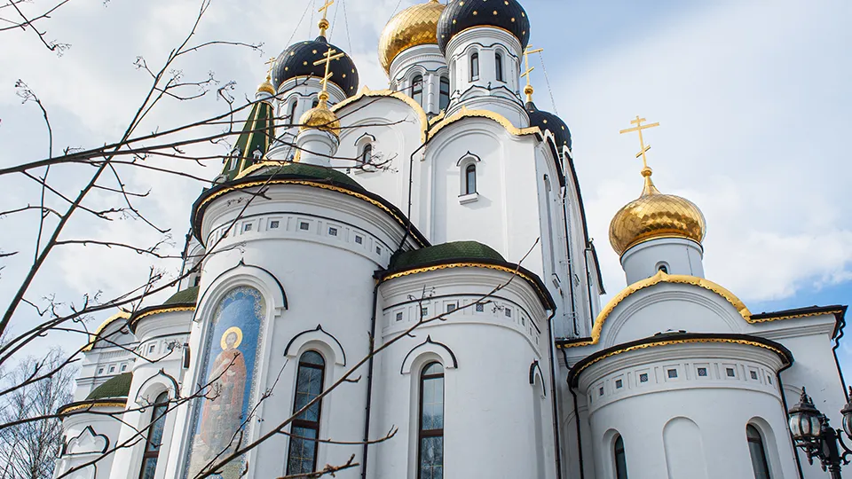 Фото: медиасток.рф