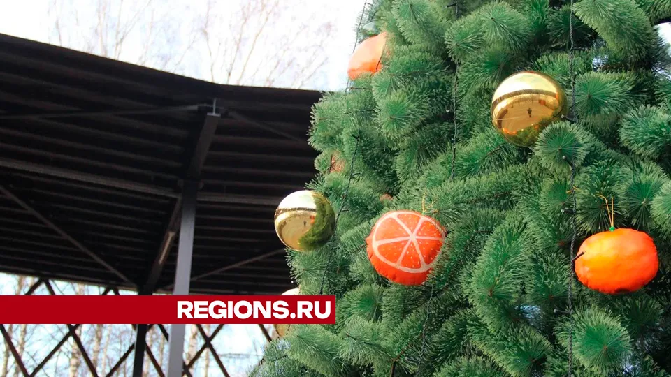 Фото: REGIONS/Василий Тремасов