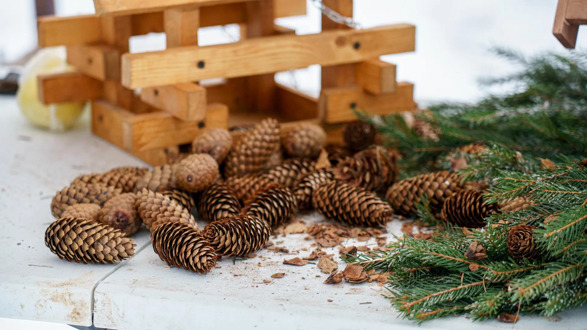 медиасток.рф