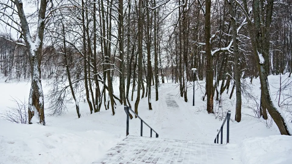 Фото: медиасток.рф