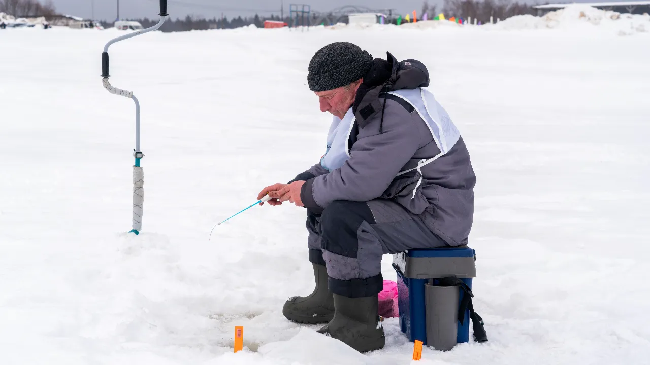 медиасток.рф