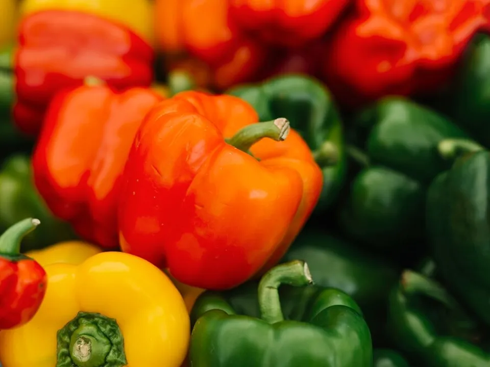 Фото: freepik.com